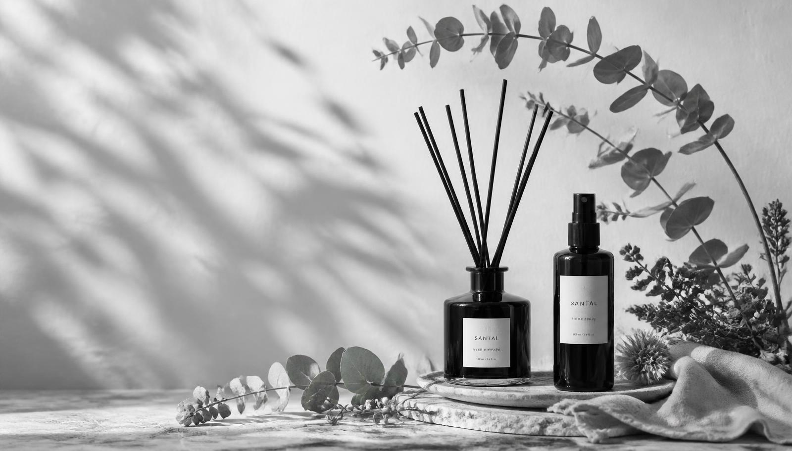 Experiência sensorial Budahare